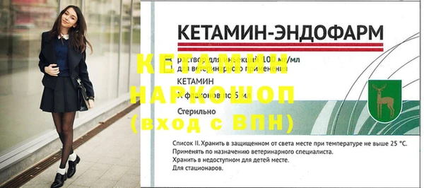 прущие грибы Инта
