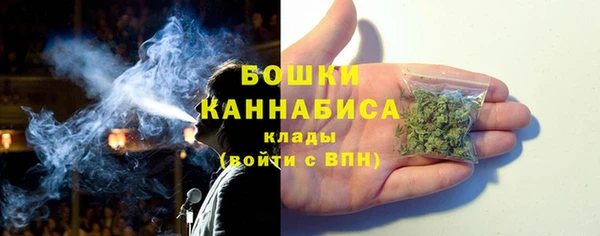 прущие грибы Инта
