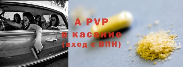 прущие грибы Инта