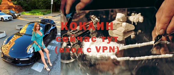 прущие грибы Инта