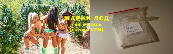 стаф Ростов