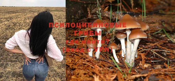 мяу мяу кристалл Инсар